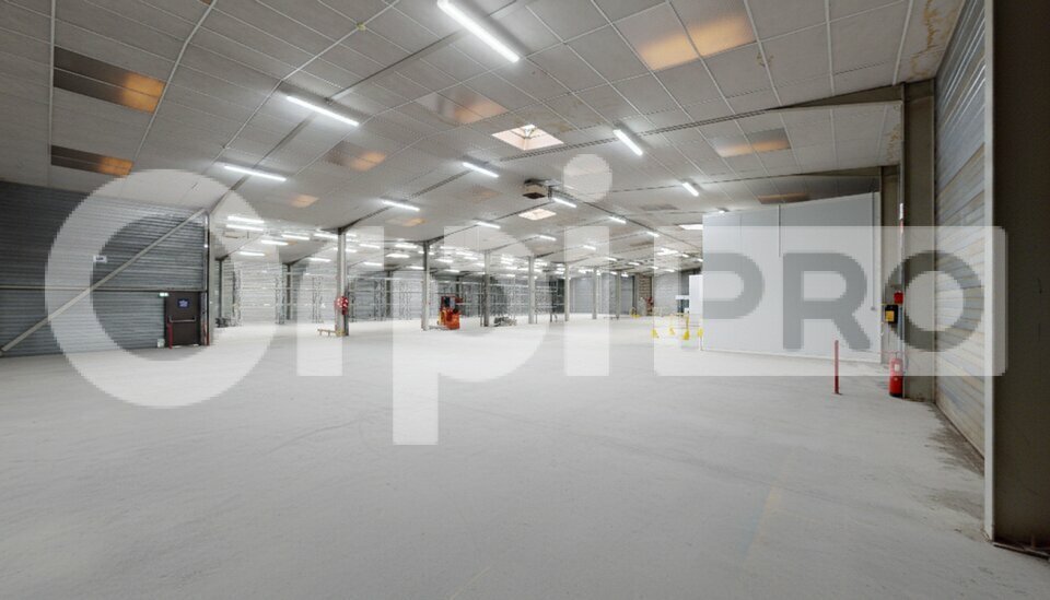 Bâtiment industriel – 4 360 m² 17684 1