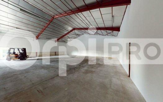 545 m² sur TERRAIN CLOS de 2 578 m² – SAINT-DIDIER-SUR-CHALARONNE
