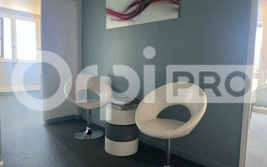 Bureaux-Rillieux-110m2-ZFU ( exonération IS+IR )