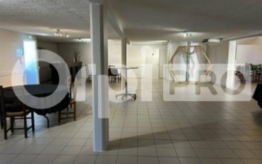 Domaine de réception et chambre d&rsquo;hôte à vendre à Belleville