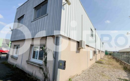 LOCAL D ACTIVITE – ANSE – 1390 m2