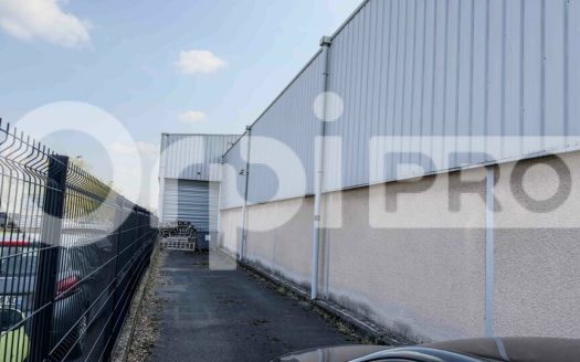LOCAL D ACTIVITE – ANSE – 1390 m2