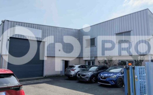 LOCAL D ACTIVITE – ANSE – 1390 m2
