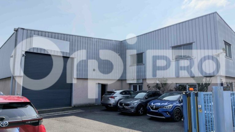 LOCAL D ACTIVITE – ANSE – 1390 m2