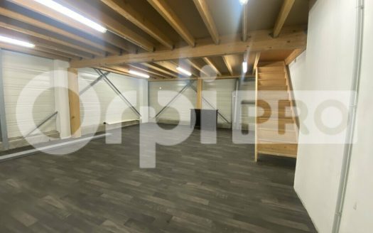 LOCAL D ACTIVITE – GUEREINS – 286m2
