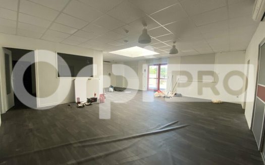 LOCAL D ACTIVITE – GUEREINS – 286m2