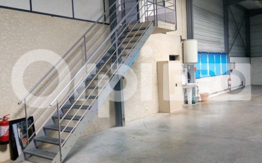 LOCATION – LOCAL D&rsquo;ACTIVITE – REYRIEUX