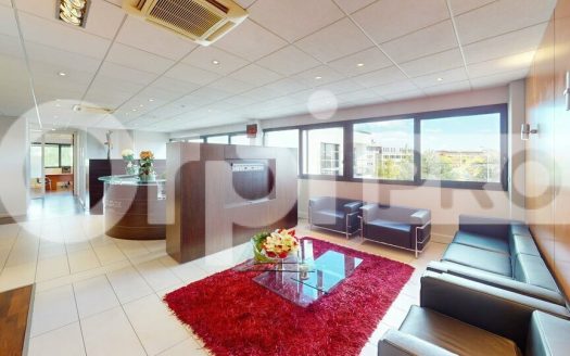 Bureau d&rsquo;exception au cœur de Dardilly – 264m²
