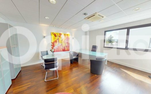 Bureau d&rsquo;exception au cœur de Dardilly – 264m²