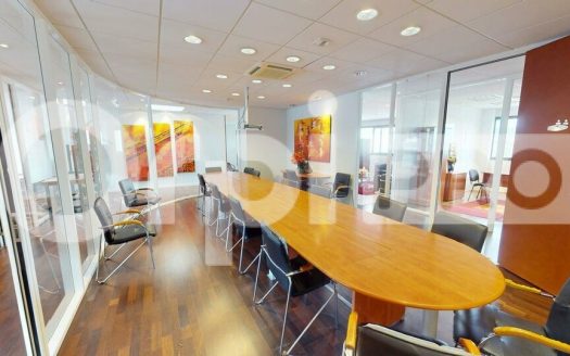 Bureau d&rsquo;exception au cœur de Dardilly – 264m²