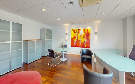 Bureau d&rsquo;exception au cœur de Dardilly – 426m² de 0 à 426 m2