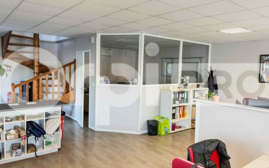 LOCAL D ACTIVITE – ANSE – 1390 m2