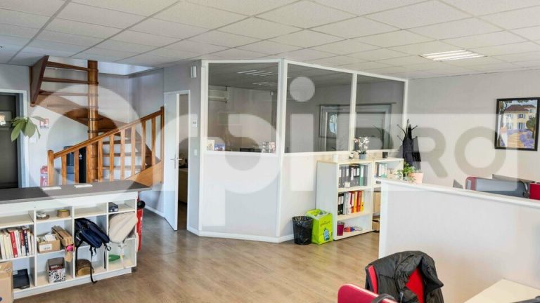 LOCAL D ACTIVITE – ANSE – 1390 m2