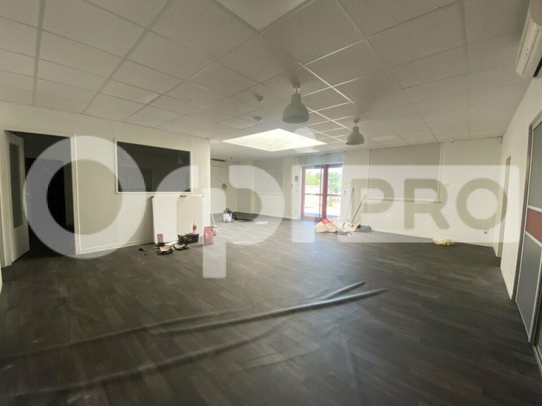LOCAL D ACTIVITE – GUEREINS – 286m2