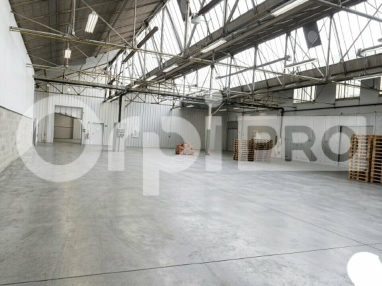 Local d’activité 608 m² – Belle hauteur – Accès…