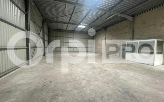 Local professionnel de 433 m² : vastes volumes de stockage, accès plain-pied par porte sectionnelle et bureau/showroom fonctionnel.