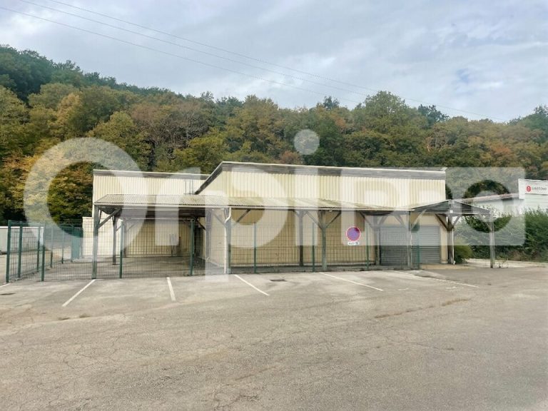 Local professionnel de 433 m² : vastes volumes de…