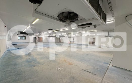 A VENDRE – 1 950 m² – Belleville-en-Beaujolais