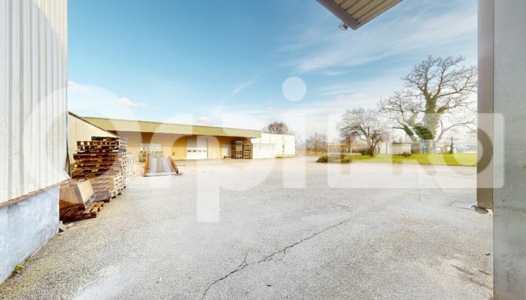 Bâtiment industriel – 4 360 m² — photo 3