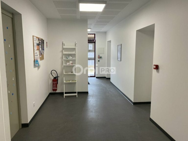 Bureau à Vendre aux Chères (69380)