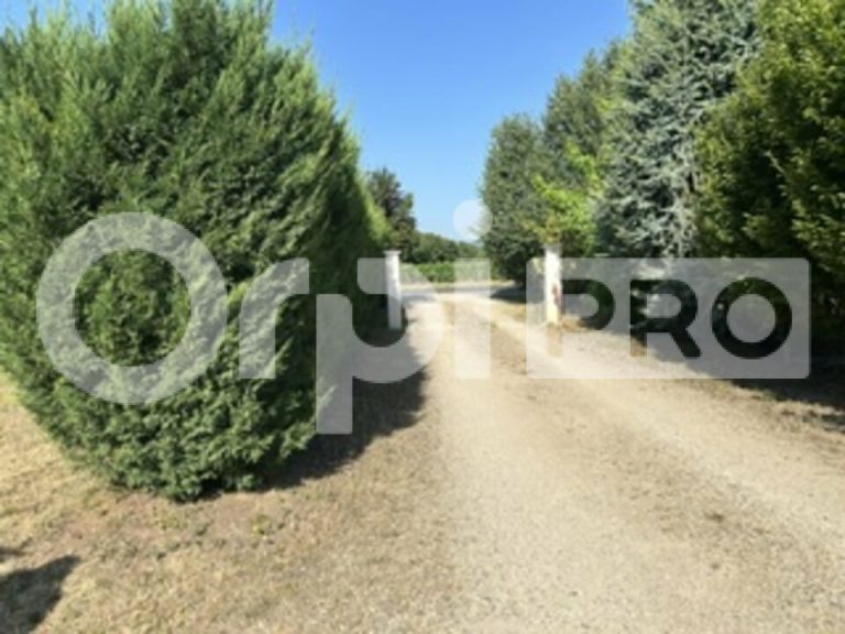 Domaine de réception et chambre d’hôte à vendre à Belleville
