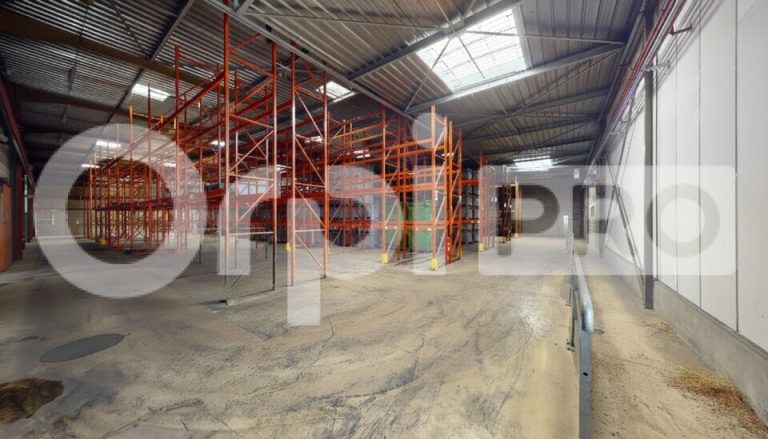Entrepôt industriel et bureaux – Surface totale 3 788 m²