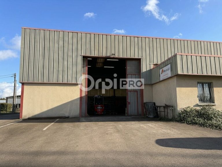 Local d’activité de 493 m² avec ponts roulants