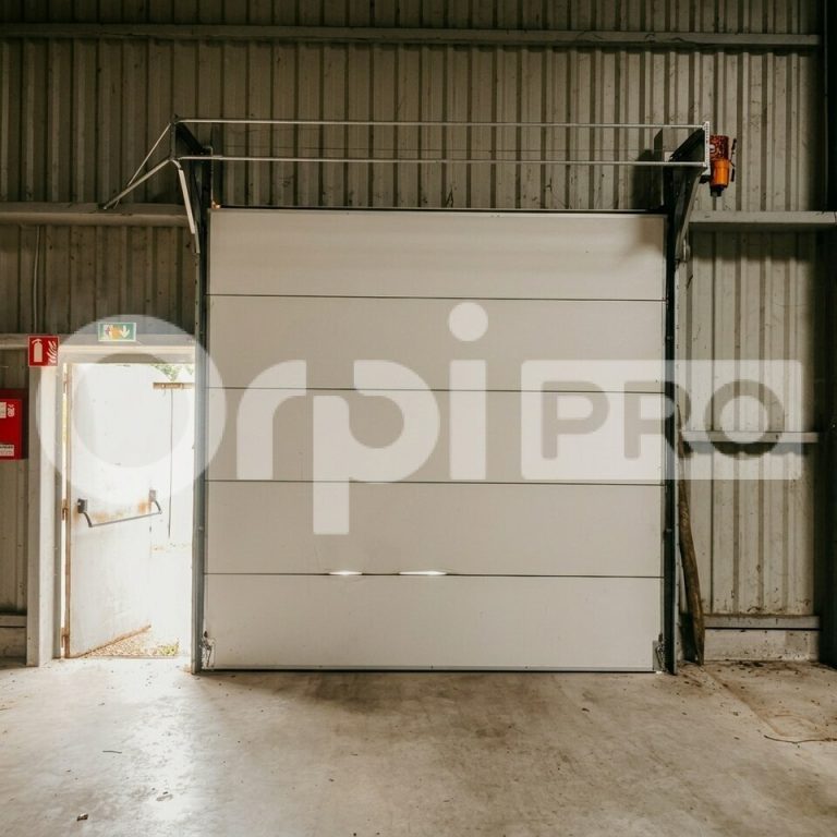 Local professionnel de 433 m² : vastes volumes de stockage, accès plain-pied par porte sectionnelle et bureau/showroom fonctionnel. — photo 2