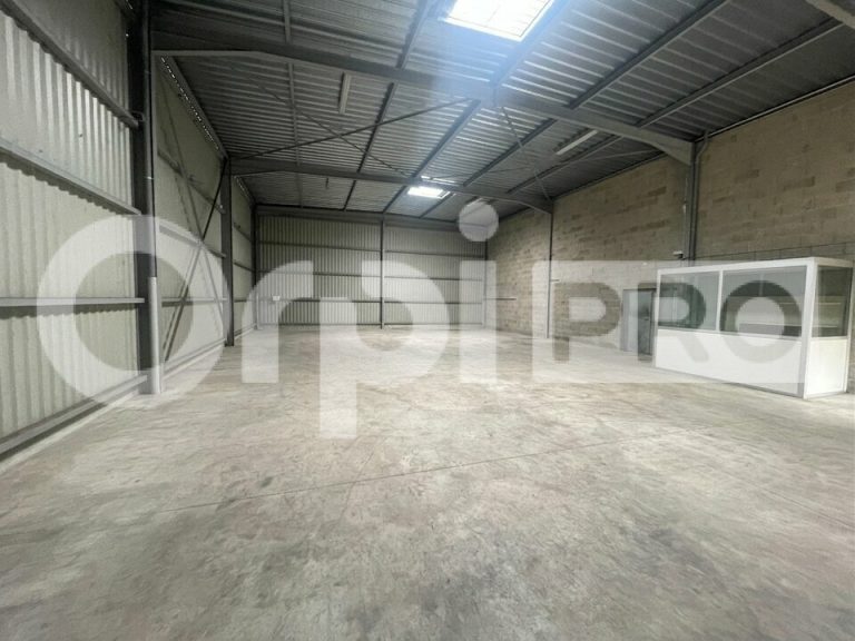 Local professionnel de 433 m² : vastes volumes de stockage, accès plain-pied par porte sectionnelle et bureau/showroom fonctionnel. — photo 3