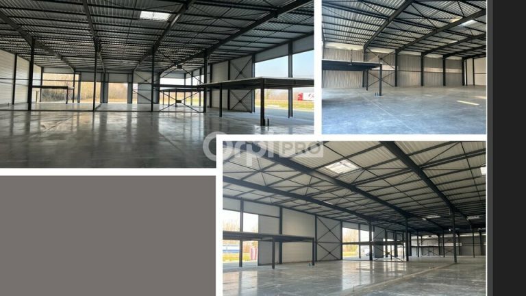 Location Locaux d’activités 552 m² à 2 379 m² — photo 3