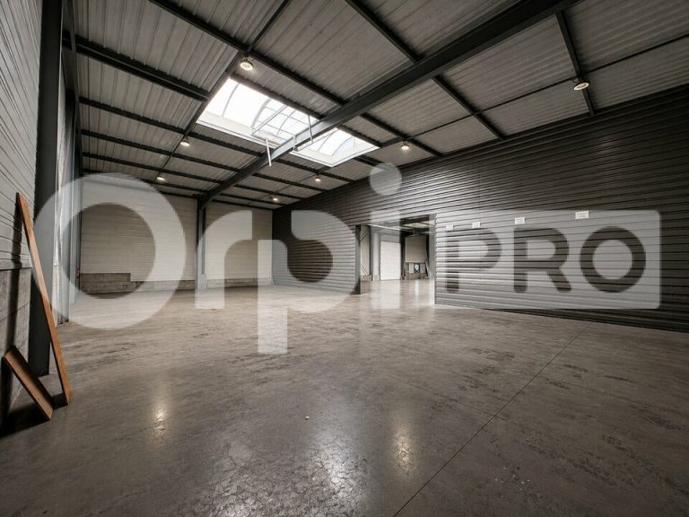 Locaux d’Activités – 1 440 m² idéal siège social — photo 2