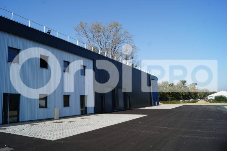 Locaux d’Activités – 415 m² — photo 3
