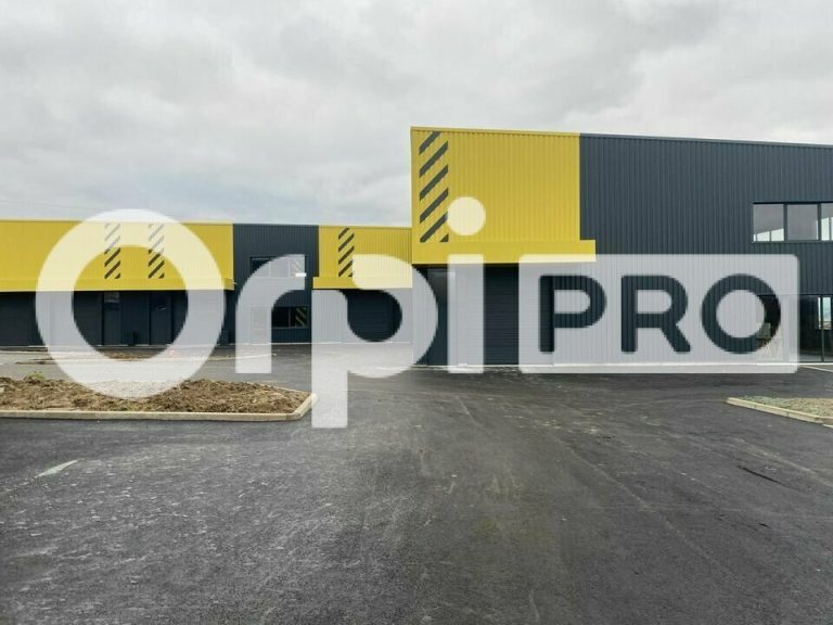Un local d’activité de 539,50 m² dont 450,75 m² au sol et 88,50 m² en mezzanine